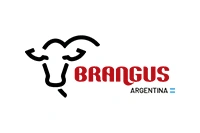 Brangus, un cliente de confianza de Spiral Studio